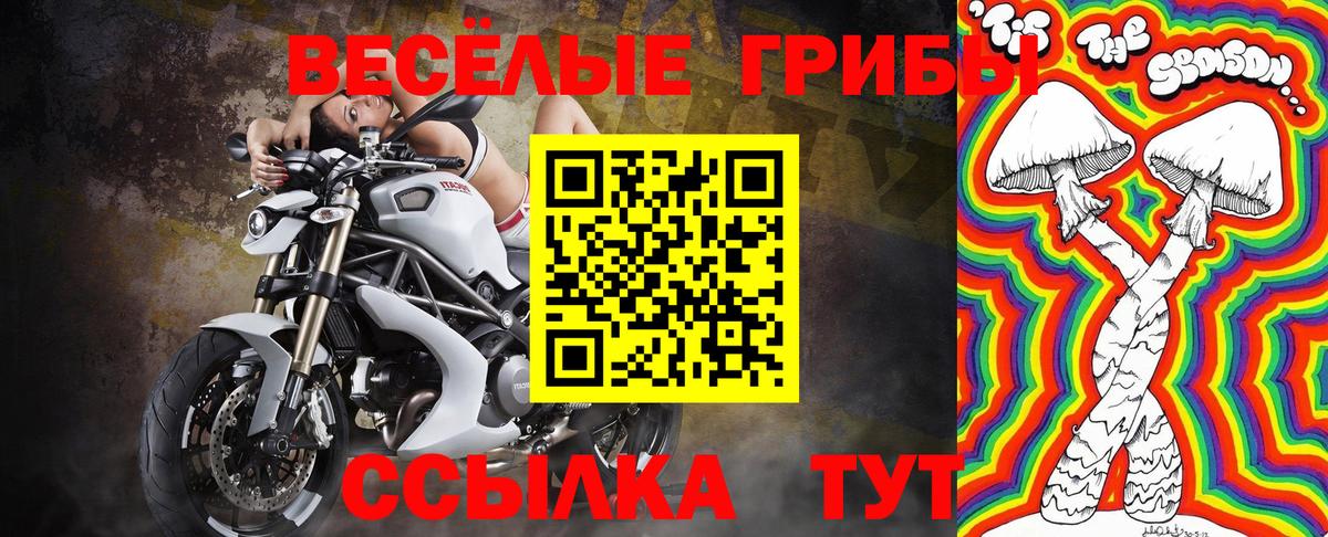 Псилоцибиновые грибы мухоморы  Псилоцибиновые грибы Cubensis  где найти наркотики  Вход с VPN  Мирный 